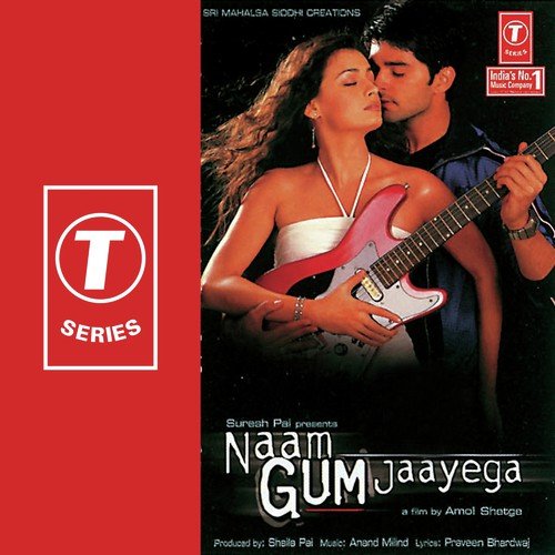 Hamein Tumse Hai Pyar (Instrumental) Poster